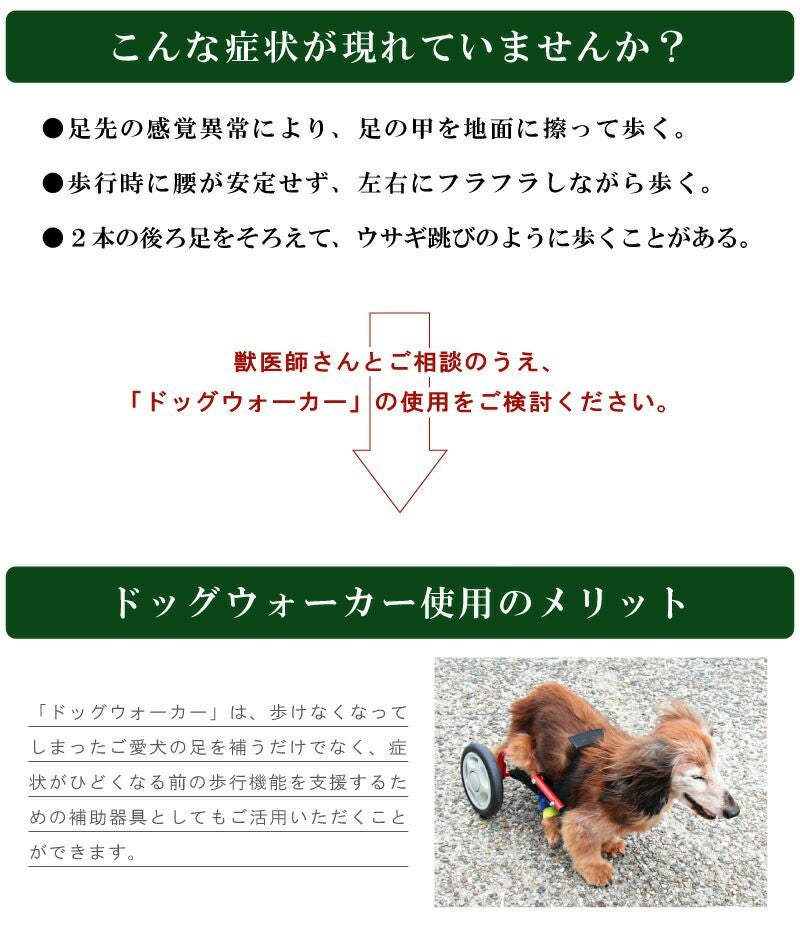 犬用車椅子 車いす ミニチュアダックスフンド専用 ペット 介護用品