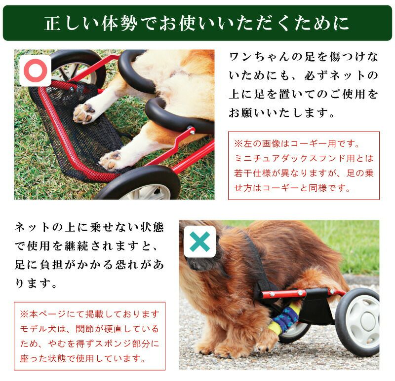 犬用車椅子 車いす ミニチュアダックスフンド専用 ペット 介護用品