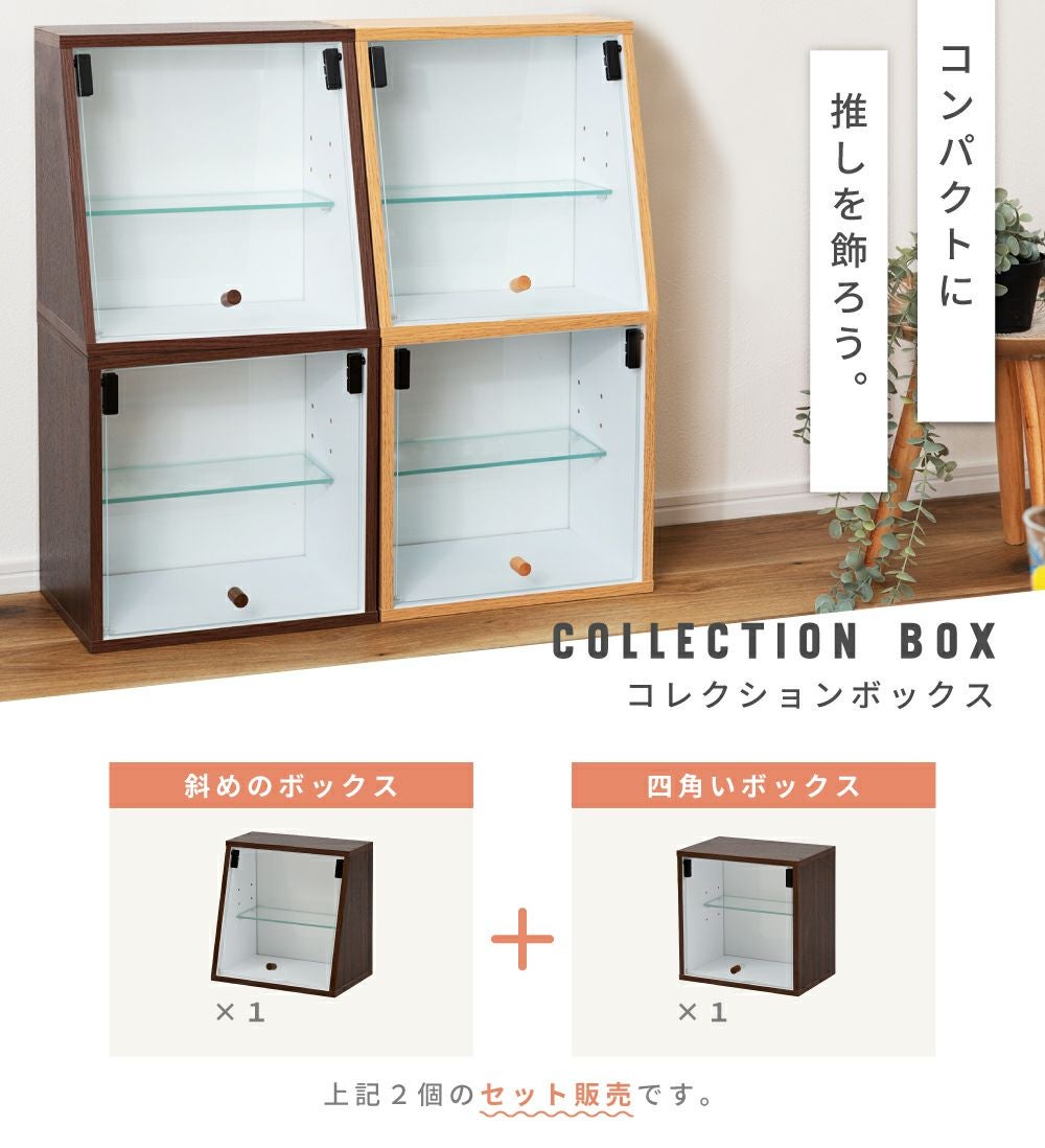 コレクションシェルフ 2段 フォトフレーム ガラス 推し活 棚 グッズ