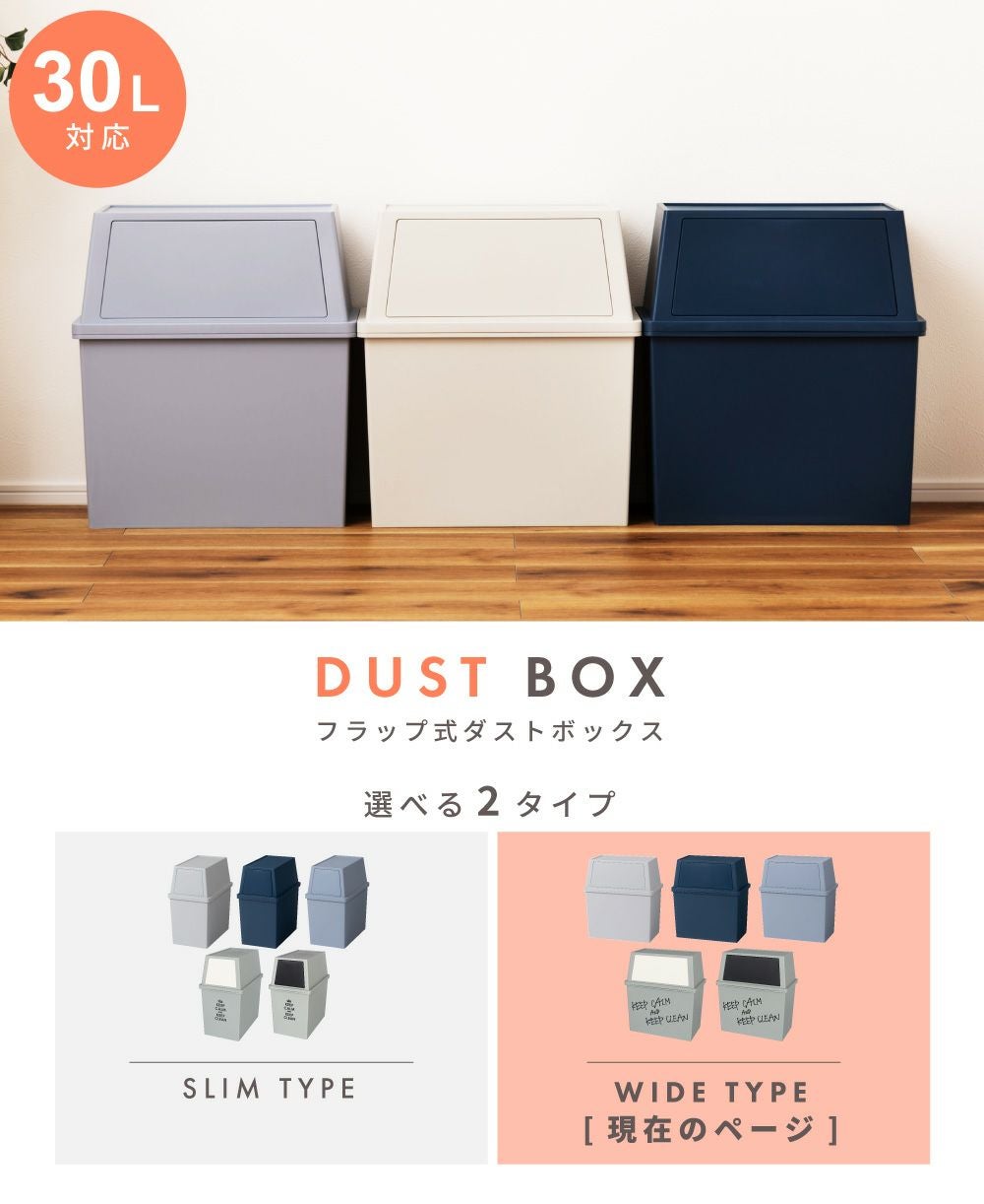 ごみ箱 30リットル 30L 1個 2個セット 分別 2段 ワイド ゴミ箱 新生活