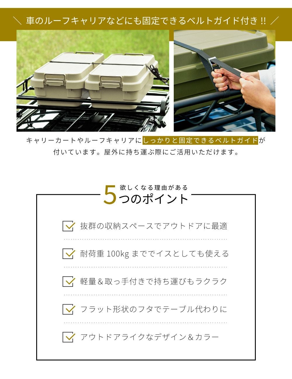 トランクカーゴ 40L 浅型 スタッキング可｜TRUNK CARGO | AZUMAYA