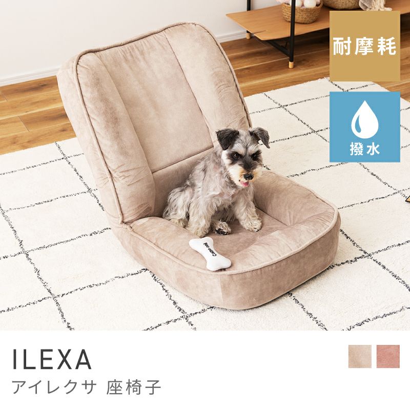 【格安】ペット用あったかベッド椅子 「DUPJA」 風と寒さから愛犬を守る、高さ調節可能な愛犬用椅子 「DUPJA」登場