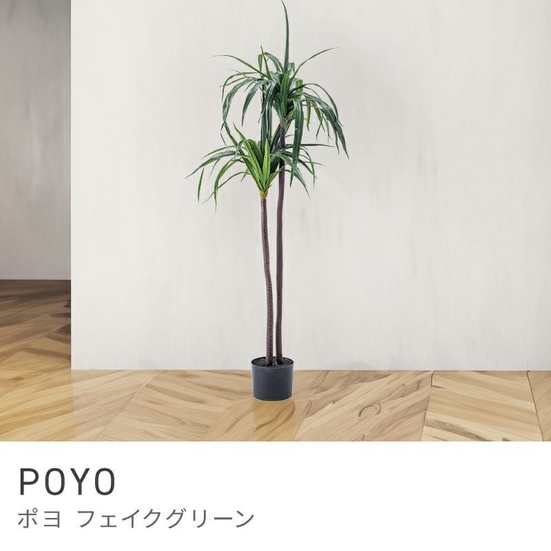 フェイクグリーン | AZUMAYA