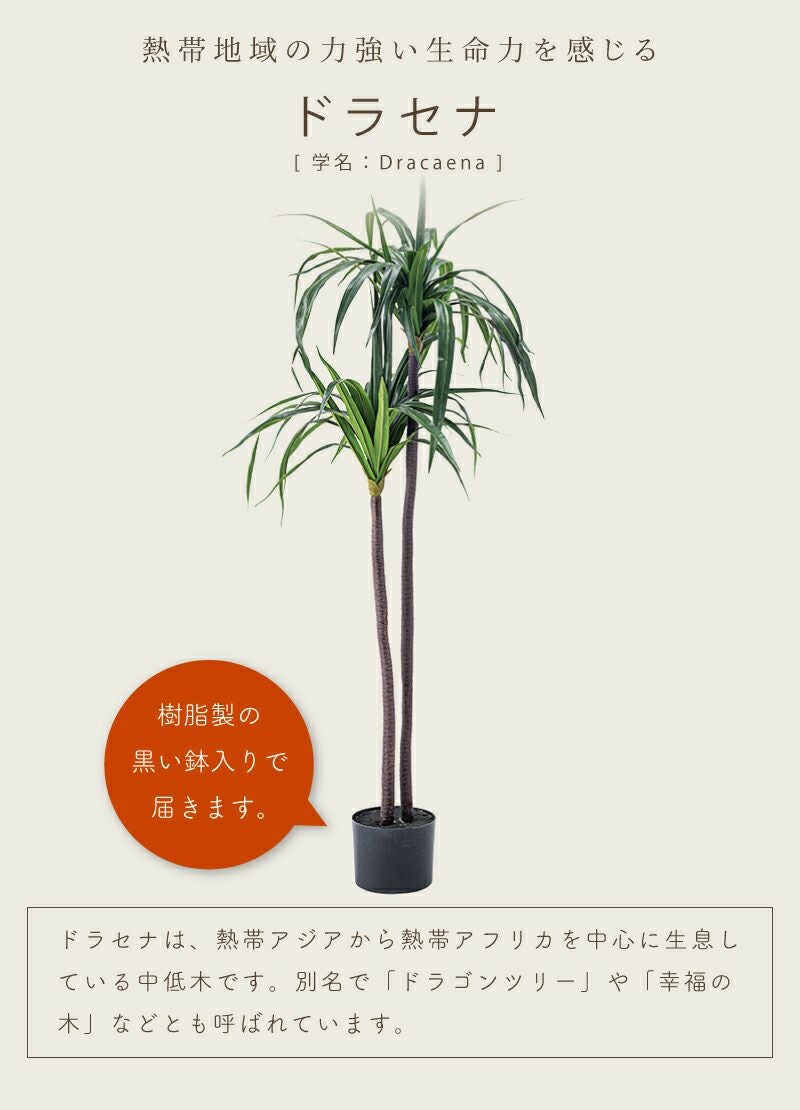 フェイクグリーン ドラセナ 多肉植物 人工観葉 観葉植物 インテリア