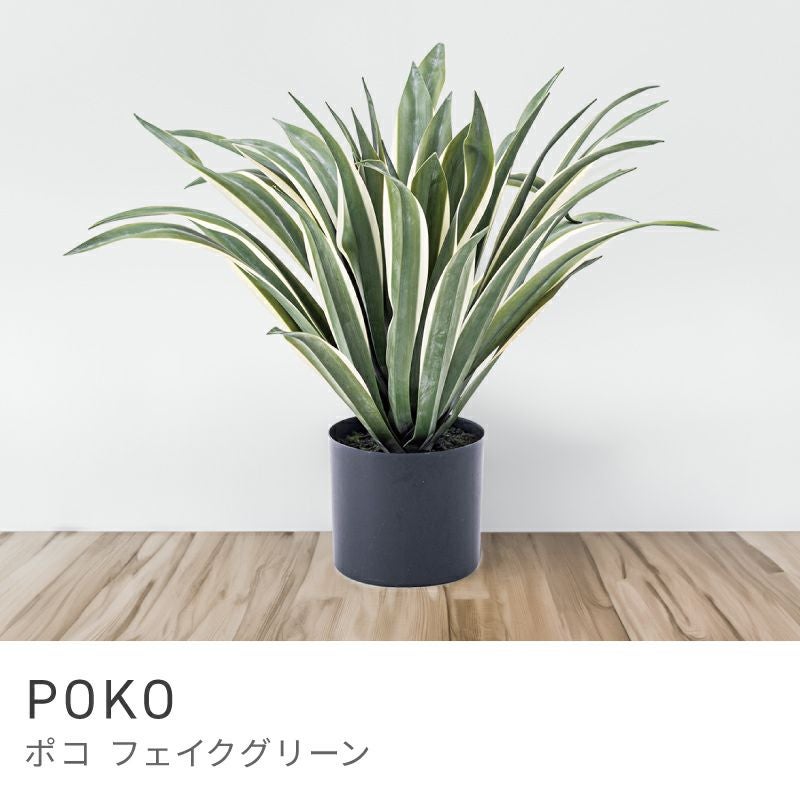 フェイクグリーン アガベ 多肉植物 人工観葉 観葉植物 インテリア 造花