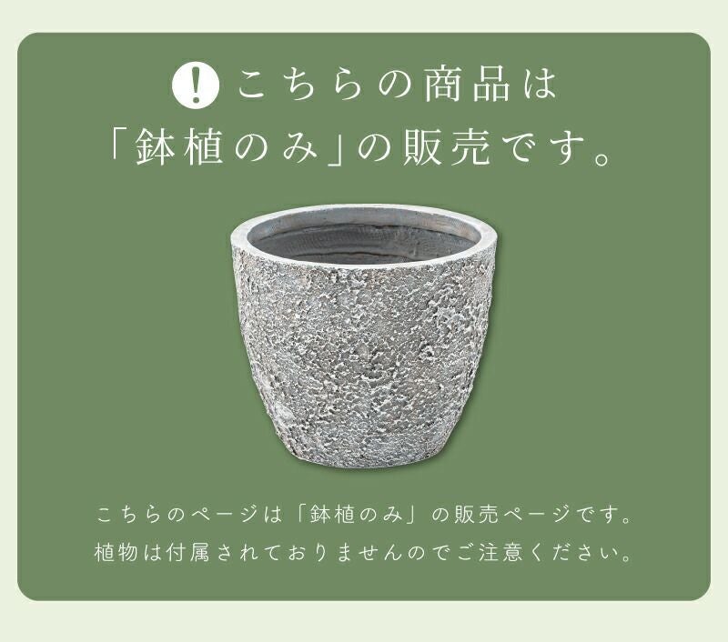 プランター 植木鉢 6号用 約31×31cm 深型 陶器風 アートストーン