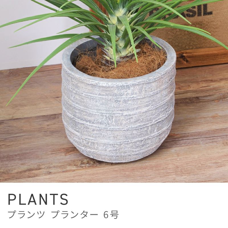 プランター 植木鉢 6号用 約25.5×25.5cm 深型 陶器風｜PLANTS | AZUMAYA