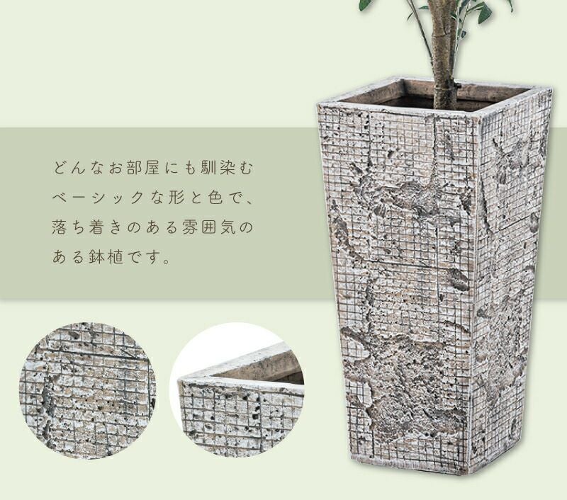 プランター 植木鉢 5号用 約24×24cm 深型 縦長 ハイタイプ 陶器風