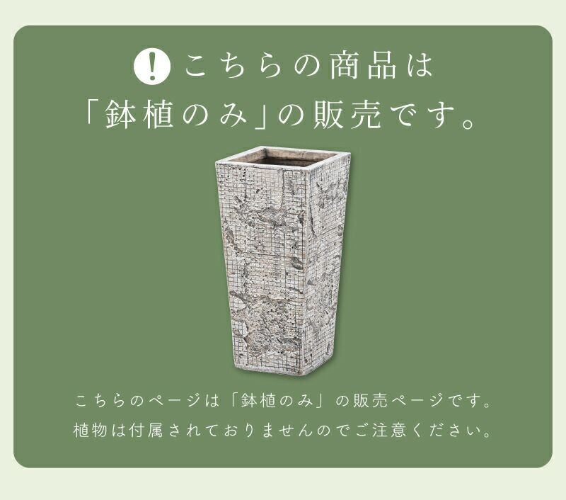 プランター 植木鉢 5号用 約24×24cm 深型 縦長 ハイタイプ 陶器風