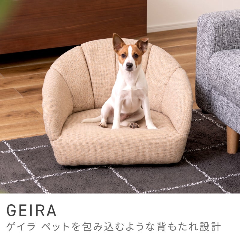 【格安】ペット用あったかベッド椅子 「DUPJA」 風と寒さから愛犬を守る、高さ調節可能な愛犬用椅子 「DUPJA」登場