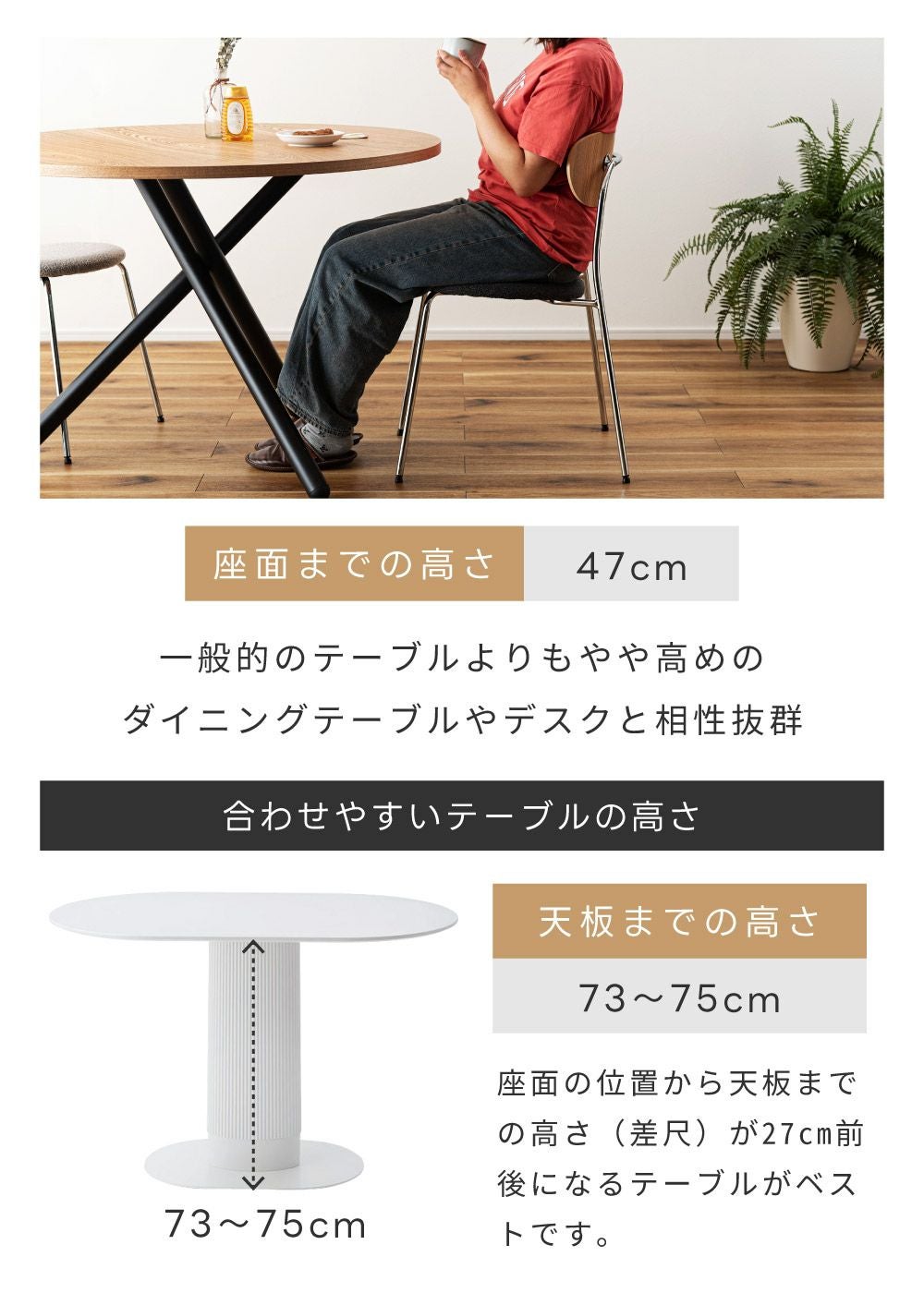 ダイニングチェア 座面高47cm 椅子 木製 天然木 ビーチ スチール 完成