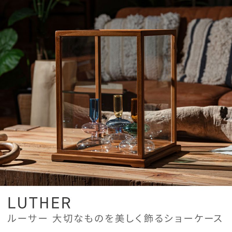 コレクションケース ショーケース コレクション収納 天然木 木製