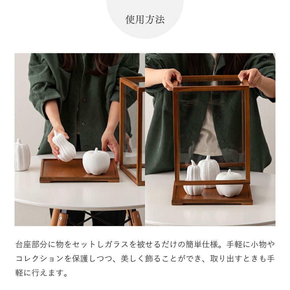 コレクションケース ショーケース コレクション収納 天然木 木製