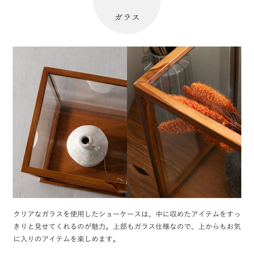 コレクションケース ショーケース コレクション収納 天然木 木製