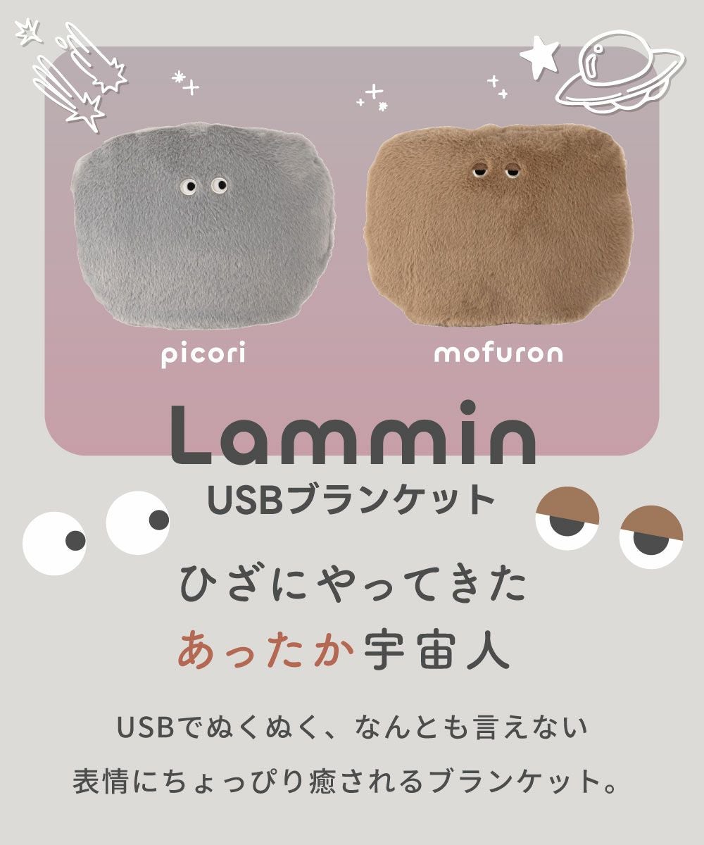 1年保証付き] ブランケット USBブランケット リモコン付き 温度3段階