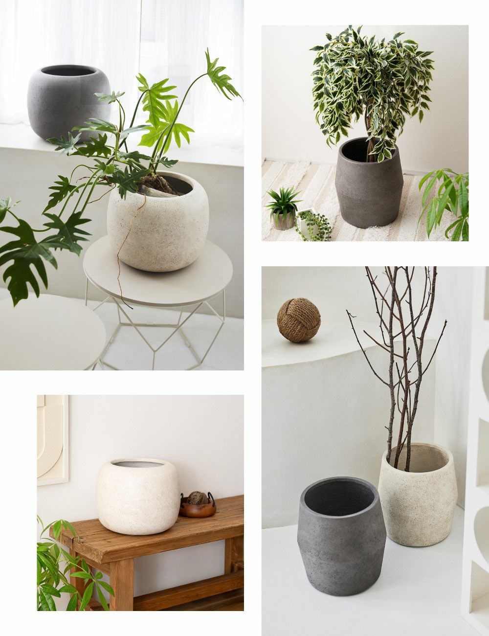 プランター 2種類 植木鉢 マグネシウムプランター 石風 丸型 丸い 完成