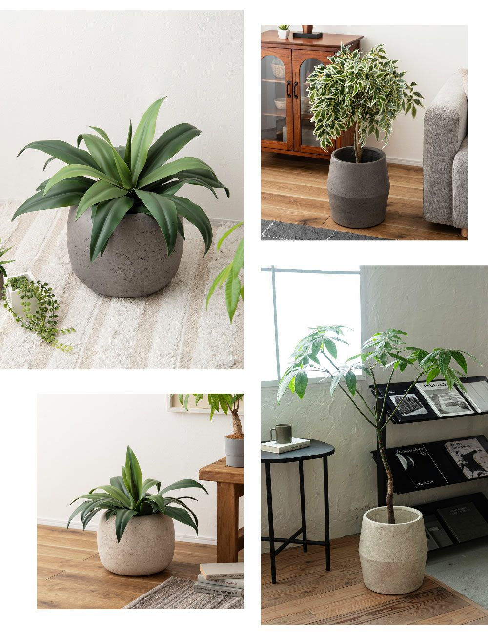 プランター 2種類 植木鉢 マグネシウムプランター 石風 丸型 丸い 完成
