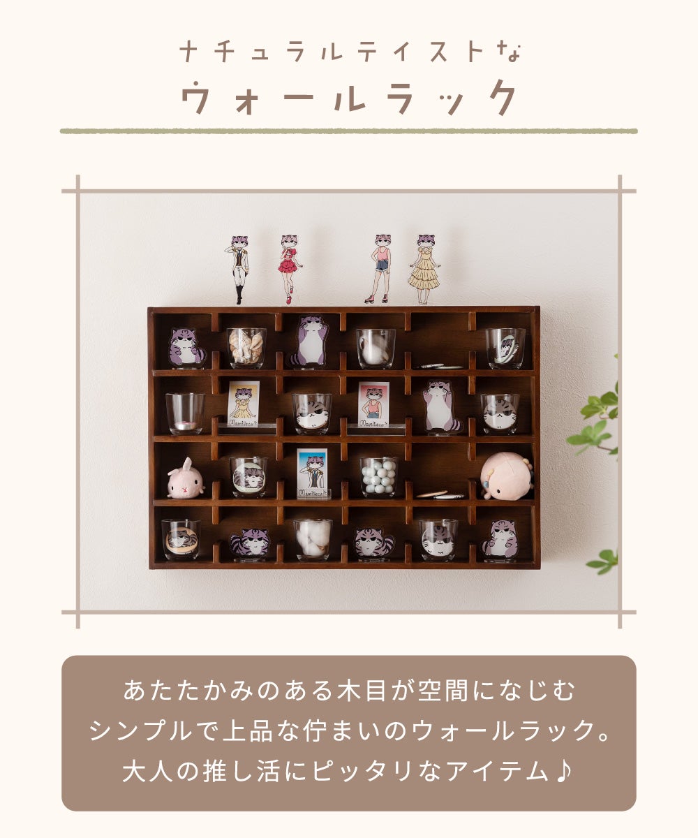 ウォールラック 横長 ケース コレクション収納 ウォールラック 棚