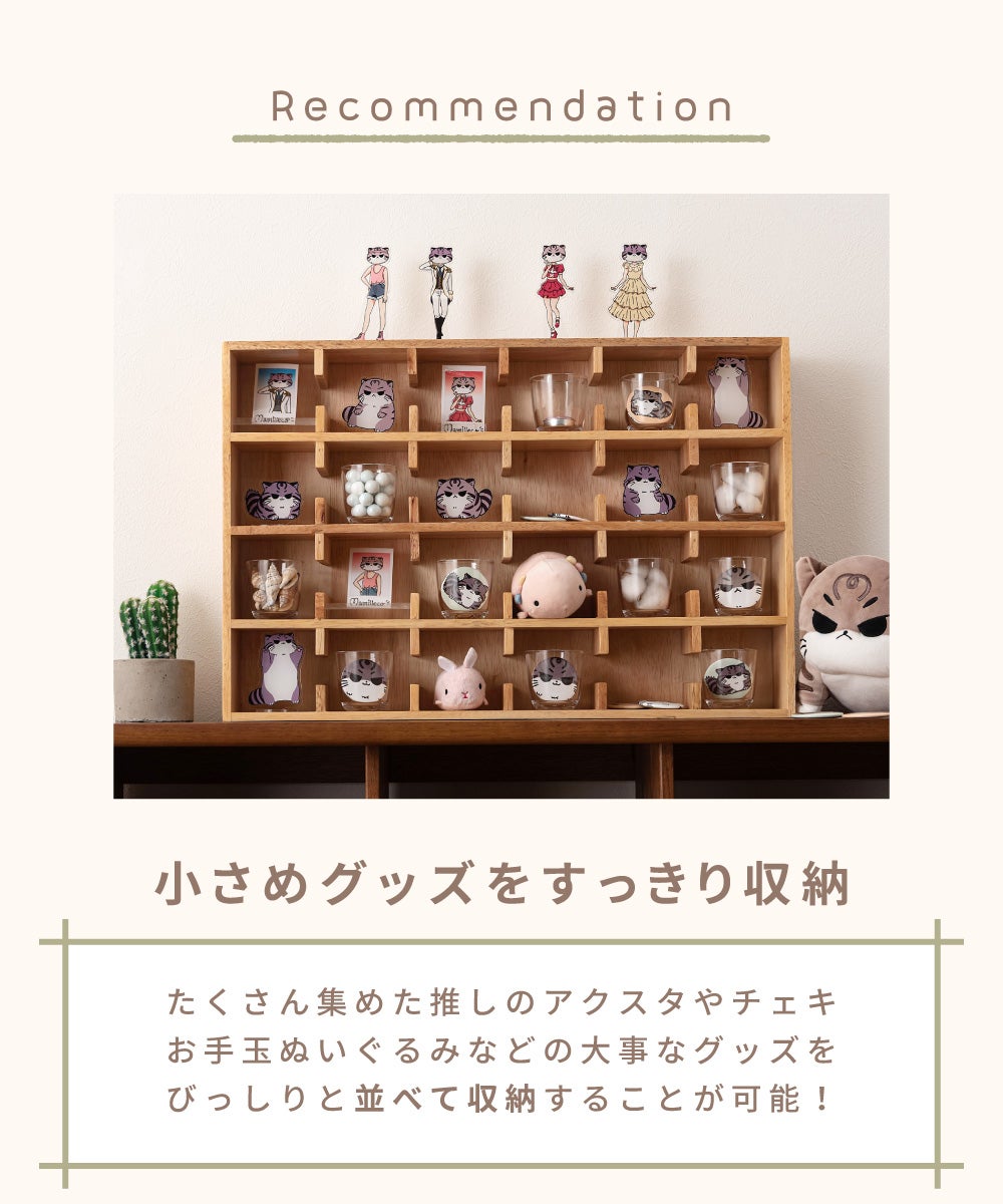 ウォールラック 横長 ケース コレクション収納 ウォールラック 棚