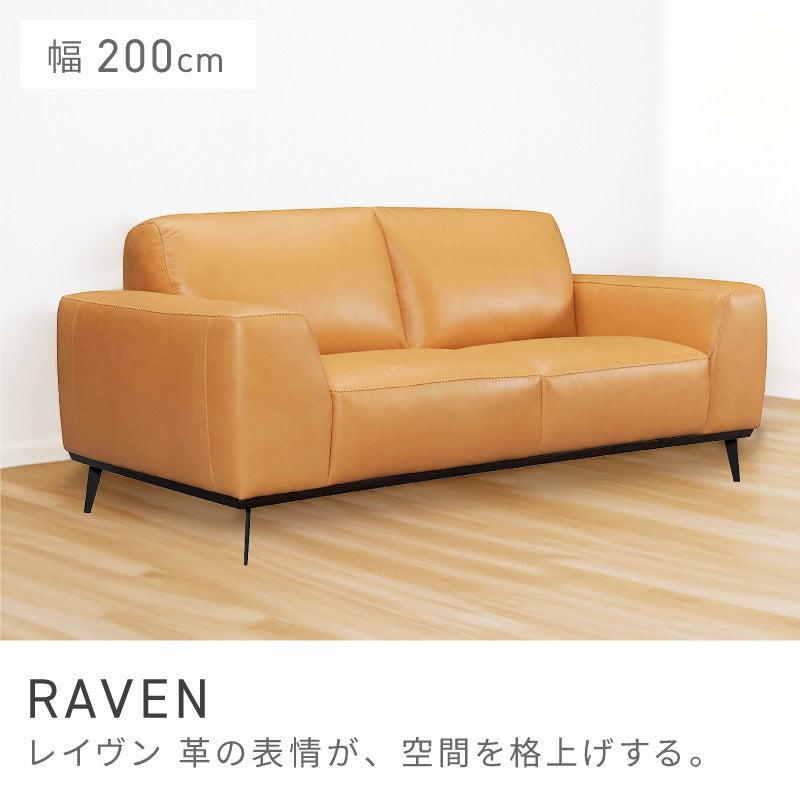 開梱設置サービス] ソファ 二人掛け 本革 レザー スチール脚 アーム